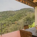 Straccoligno